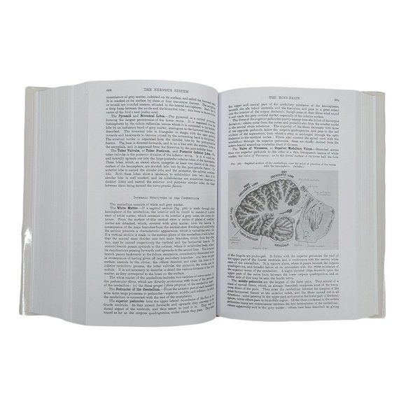 Grays Anatomy Henry Gray Hardback Book Dust Jacket 15th Edition 2012 - Picture 10 of 12